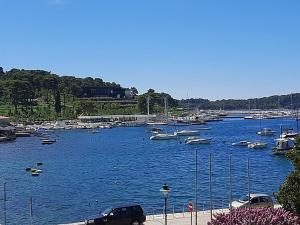 a bunch of boats are docked in a harbor at Apartment Adriatic Sea View Zoe in Rovinj +30 photos