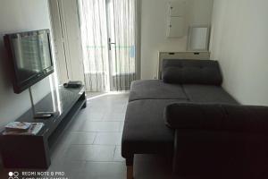 ein Wohnzimmer mit Couch und Flachbildfernseher in der Unterkunft Charmante maisonnette aux portes de paris in Saint-Ouen