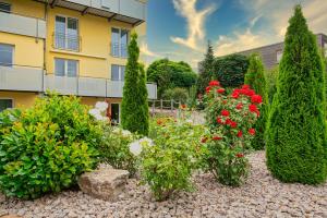 Zahrada ubytování Hotel Sonnengarten