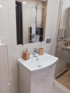 een witte badkamer met een wastafel en een douche bij Dworek na Zakręcie - noclegi Zator in Zator
