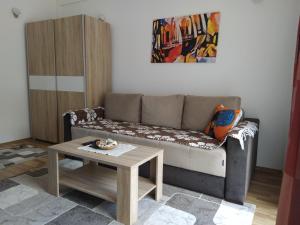 uma sala de estar com um sofá e uma mesa em Andrey Apartment em Mavrovo