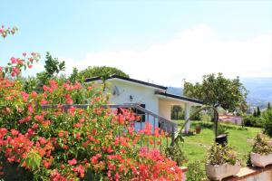 una casa con flores rosas en un patio en Villa Faro, en Capo Vaticano