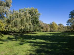 um grande campo de relva com uma árvore no meio em The Bull Inn Pub em Stanford Dingley