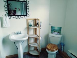 a bathroom with a sink and a toilet and a mirror at Gite Pousse Pioche in Notre-Dame-des-Monts