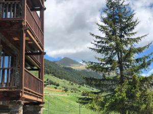 a pine tree on the side of a building next to a mountain at Estudio reformado Vall d'Incles Grandvalira, 4 pers, max 2 adultos y 2 niños menores 12 años in Canillo