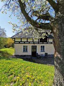 Biały dom z drzewem przed nim w obiekcie Ferienwohnung "Am Saalehaken" w mieście Gössitz