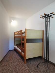 a bunk bed in a room with a lamp at Ferienwohnung "Am Saalehaken" in Gössitz