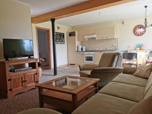 a living room with a couch and a tv at Ferienwohnung "Am Saalehaken" in Gössitz