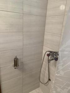 eine Dusche mit Glastür im Bad in der Unterkunft NG Apartmani Tornik Zlatibor in Zlatibor