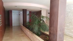 Fotografie z fotogalerie ubytování Apartamento San Sebastián de la Gomera v destinaci San Sebastián de la Gomera