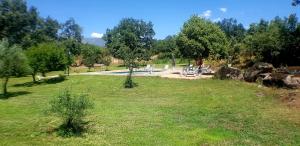 クアコス・デ・ユステにあるCasa Rural Colmenarejoの芝生のテーブルと椅子のある公園