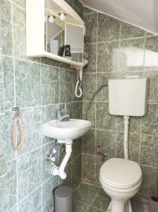 La salle de bains est pourvue de toilettes et d'un lavabo. dans l'établissement Apartman Dvorištance, à Golubac
