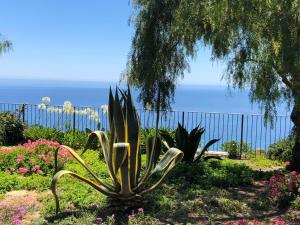 a beach with palm trees and palm trees at La Casa Di Sissi B&B in Sanremo