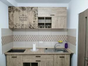 a kitchen with a sink and a counter top at Didy Residence in Eforie Nord