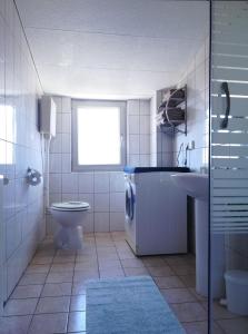 Un baño con inodoro, lavabo y ventana. en Pejić Apartments, en Pula 43 fotos más