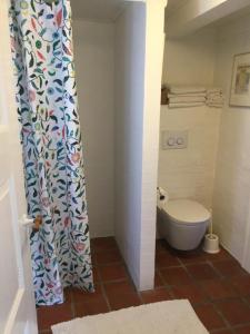 a bathroom with a toilet and a shower curtain at Filippavej 80 in Vester-Skerninge