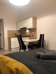 Kuchyňa alebo kuchynka v ubytovaní Apartamenty Centrum