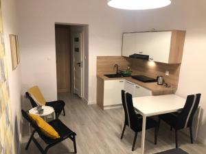 Kuchyňa alebo kuchynka v ubytovaní Apartamenty Centrum