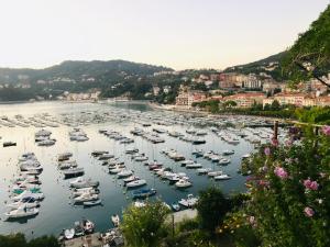 Foto dalla galleria di Approdo 36 a La Spezia