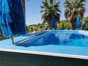a large blue swimming pool with palm trees and umbrellas at La Casa del Melograno in Santa Venerina