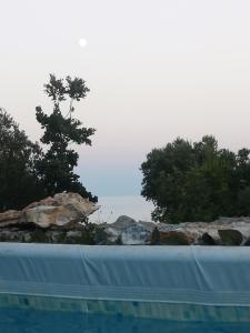 un groupe de rochers et d'arbres dans une piscine dans l'établissement Azzurrosalento, à Marina Serra