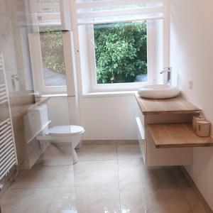 ein Bad mit einem WC, einem Waschbecken und einem Fenster in der Unterkunft VIP 67 in Eupen