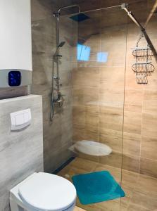 a bathroom with a toilet and a shower at Zajazd Szałas Food&Rest in Żywiec