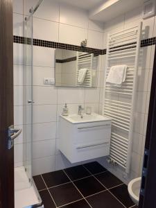 un bagno bianco con lavandino e doccia di Pension VIDHOUS 1 a Františkovy Lázně