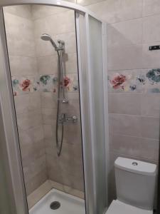 ein Bad mit einer Dusche und einem WC in der Unterkunft Apartment near stadio Metalist Kharkiv in Kharkov