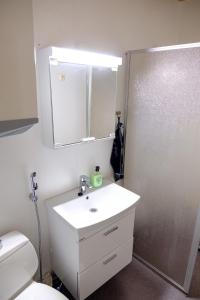 ein Badezimmer mit einem Waschbecken, einem WC und einem Spiegel in der Unterkunft Lucky Ranch cabin 3 in Pyhätunturi
