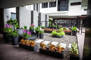 Beachfront Escape Studio E265 في ماي بيم: مجموعة من النباتات الفخارية في مبنى