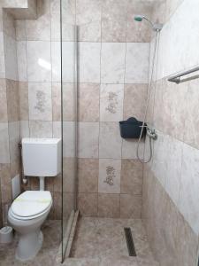 a bathroom with a toilet and a shower at Hotel Coralis 2 in Eforie Nord +22 photos