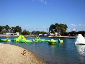 Příroda nedaleko prázdninového domu + 5 fotografií