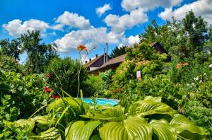 a garden with a swimming pool and plants at Klára Apartman in Szentes