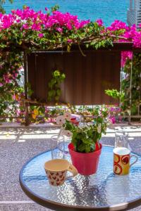 Fotografie z fotogalerie ubytování Stella Rooms v destinaci Tolo