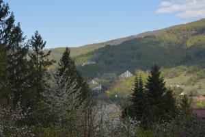 a view of a mountain with houses and trees at Beskidylla glamp in Ustroń