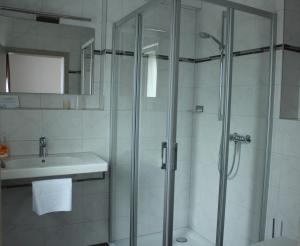 a bathroom with a shower and a sink at Hotel Alex in Stammham