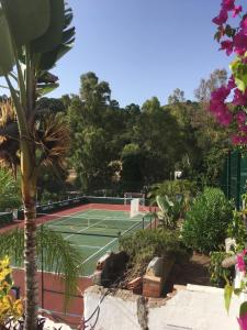 Tenis a/nebo squash v ubytování Apartamento Los Naranjos nebo okolí
