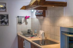 eine Küche mit einer Spüle und einer Arbeitsplatte in der Unterkunft Apartamenty Leśniczówka Salamandra in Świeradów-Zdrój