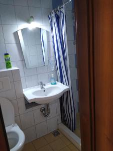 baño con lavabo y cortina de ducha en Guest House - Batak en Batak