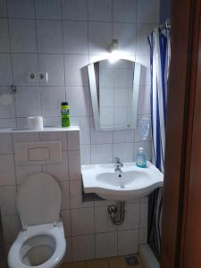 bagno con servizi igienici, lavandino e specchio di Guest House - Batak a Batak