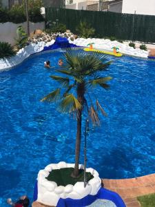 una palmera en medio de una piscina en Apartamento Los Naranjos, en Benahavís