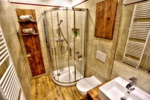 a bathroom with a shower and a toilet and a sink at Matrix Jelena in Tatranská Lomnica