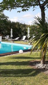 a blue swimming pool with chairs and a palm tree at Oca Giuliva in Montenero di Bisaccia