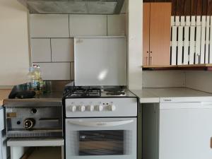 La cocina está equipada con horno y fogones. en Apartments Tratinčica, en Selište Drežničko