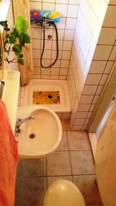 een kleine badkamer met een wastafel en een douche bij Holiday Home More in Umag