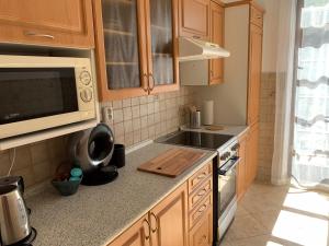 Kuchyň nebo kuchyňský kout v ubytování Apartments Dlouhá 93