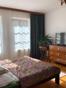Postel nebo postele na pokoji v ubytování Apartments Dlouhá 93