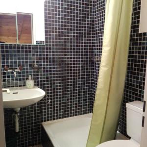 Baño de azulejos negros con lavabo y aseo en Chalet-Schümli Maisonette, en Ernen