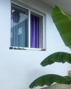 - une fenêtre avec des rideaux violets sur un mur blanc dans l'établissement Guest House Berezhok, à Loo